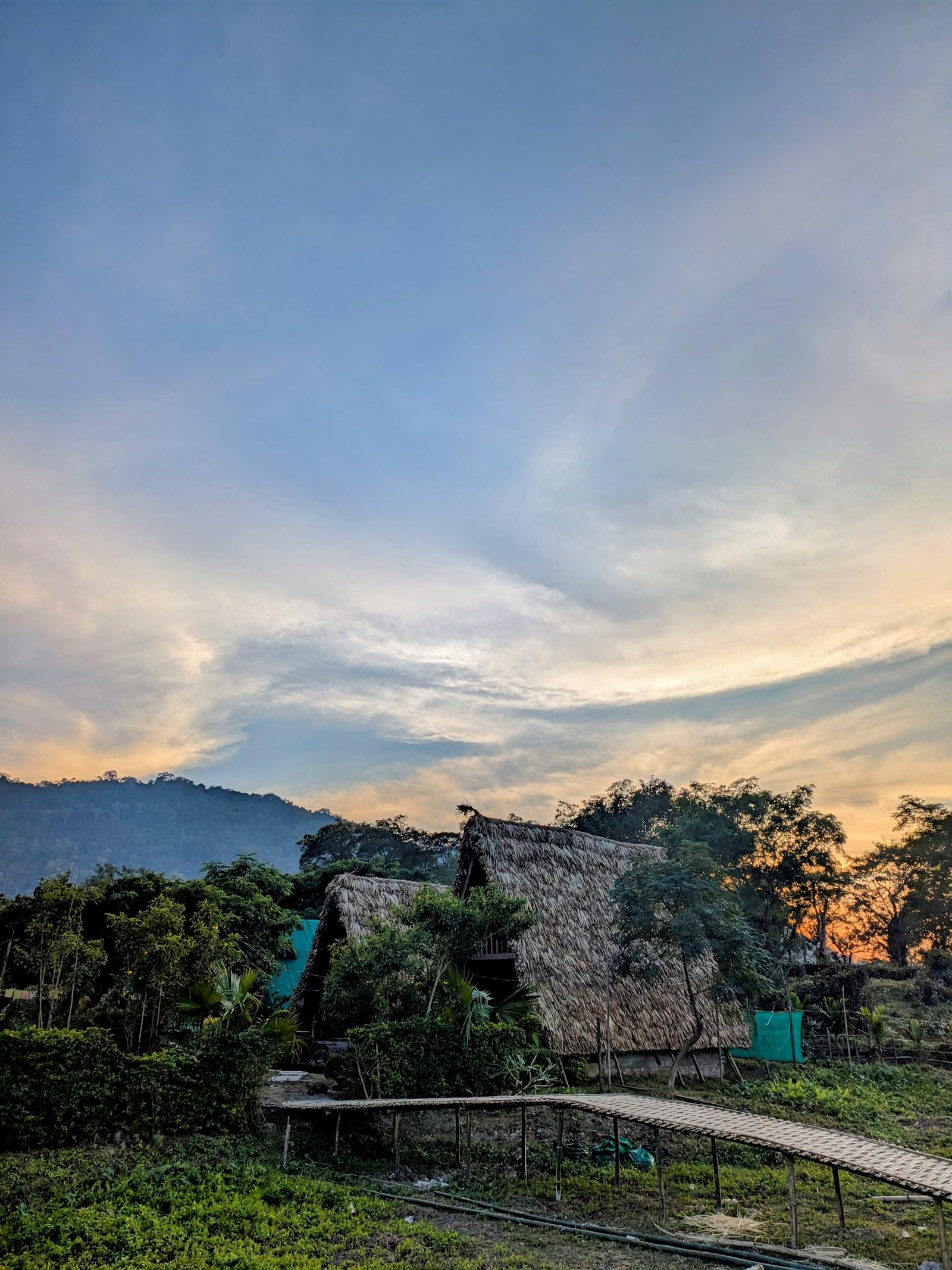 Evening view