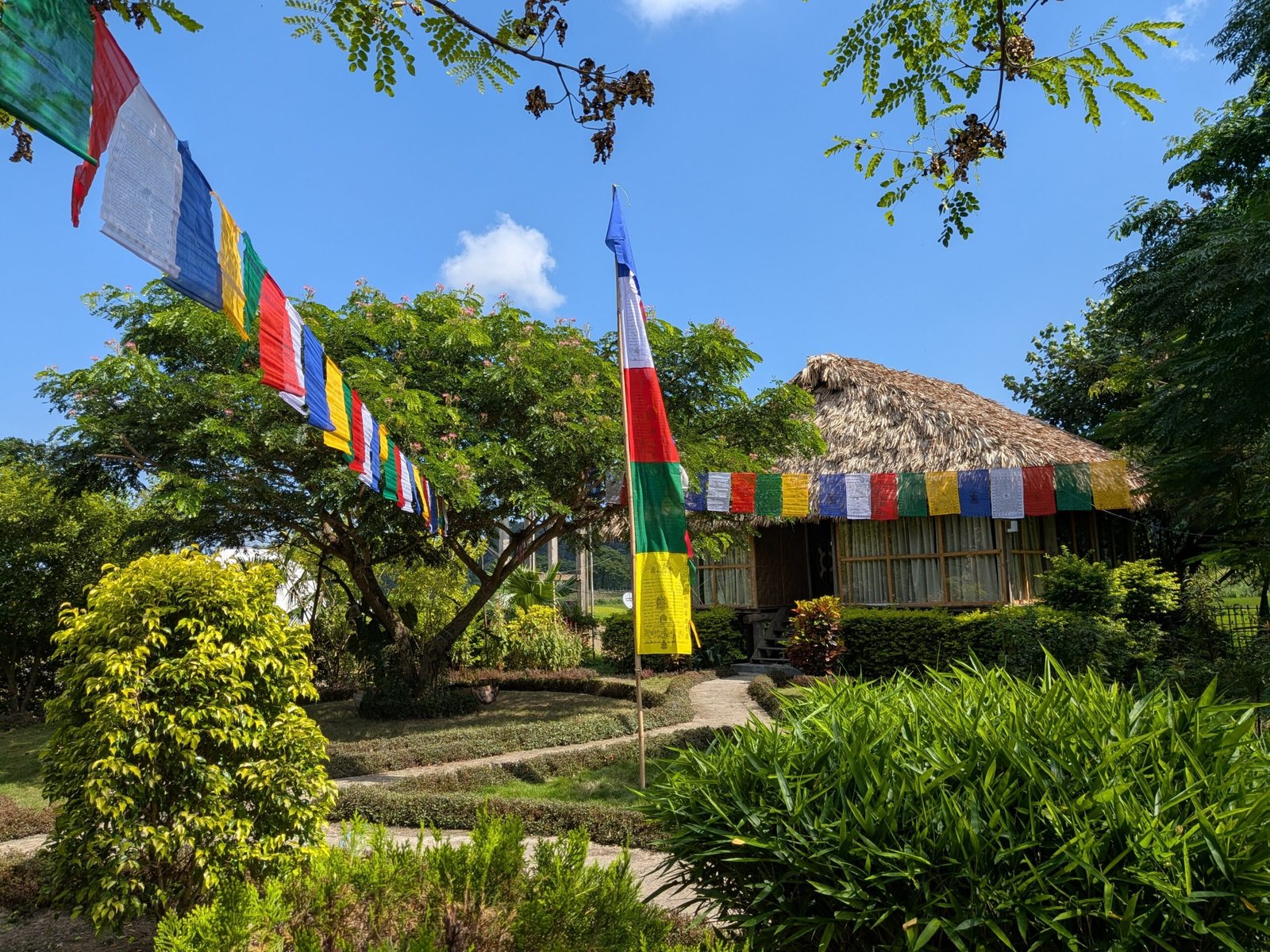 garden view